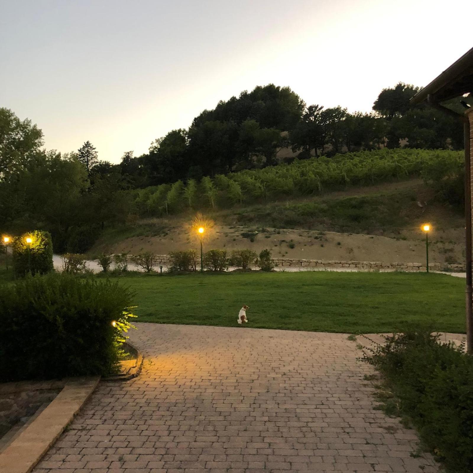 Re Artu Assisi Country Lifestyle Aparthotel Luaran gambar